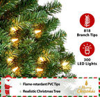 The Evergreen Royale™ Pre-Lit Christmas Tree