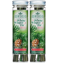 Scentsicles™ White Winter Fir Scented Christmas Tree Ornaments – 12 Pack